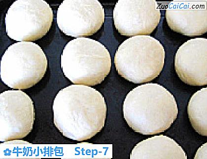 牛奶小排包做法第七步骤