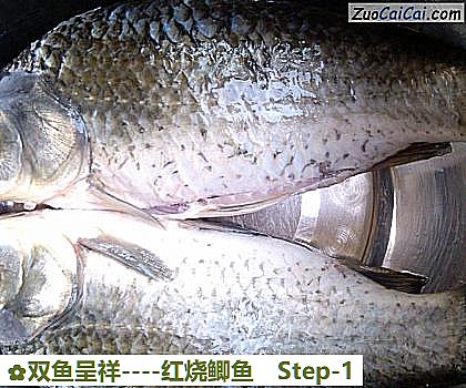 红烧鲫鱼做法第一步骤