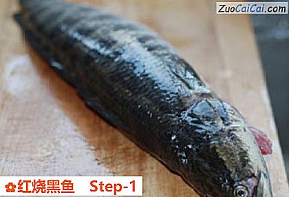 红烧黑鱼做法第一步骤