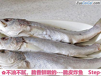 不油不腻，脆香鲜嫩的－脆皮炸鱼做法第一步骤