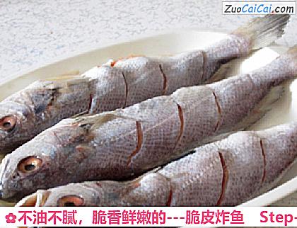 不油不腻，脆香鲜嫩的－脆皮炸鱼做法第二步骤