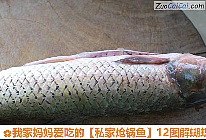 12图解蝴蝶鱼片的片法做法第一步骤