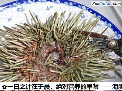 海胆炖蛋做法第一步骤
