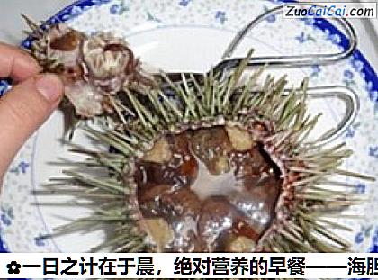 海胆炖蛋做法第二步骤