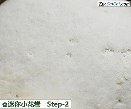 迷你小花卷做法第二步骤