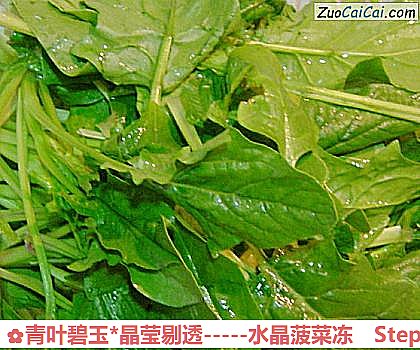 -水晶菠菜冻做法第五步骤