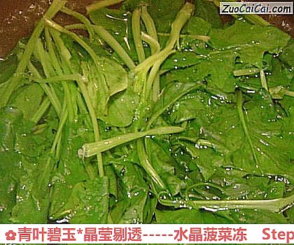 -水晶菠菜冻做法第六步骤