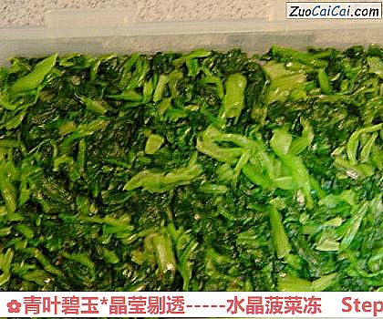 -水晶菠菜冻做法第八步骤