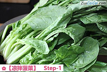 凉拌菠菜做法第一步骤