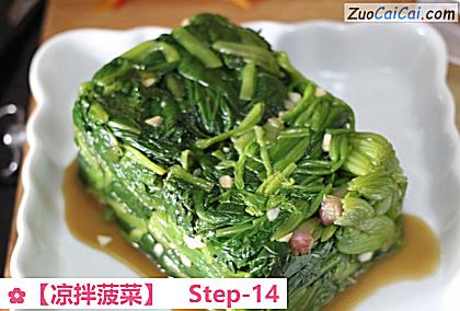 凉拌菠菜做法第十四步骤