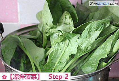 凉拌菠菜做法第二步骤