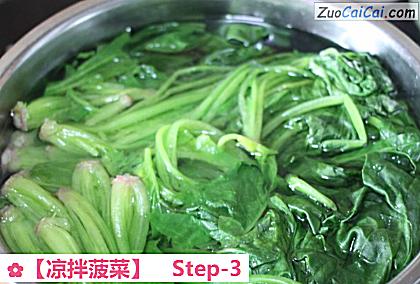 凉拌菠菜做法第三步骤