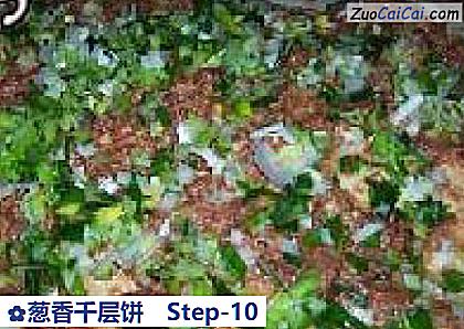 葱香千层饼做法第十步骤