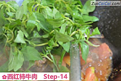 西红柿牛肉做法第十四步骤