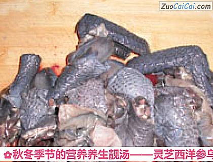 灵芝西洋参乌鸡汤做法第三步骤