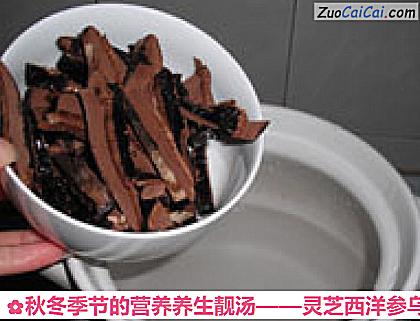 灵芝西洋参乌鸡汤做法第五步骤