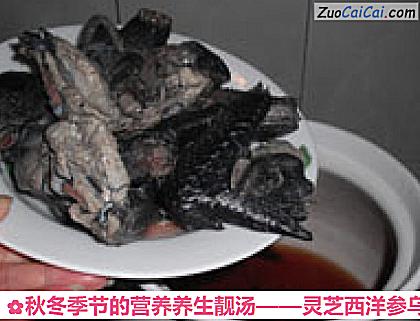 灵芝西洋参乌鸡汤做法第七步骤