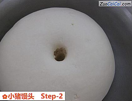 小猪馒头做法第二步骤