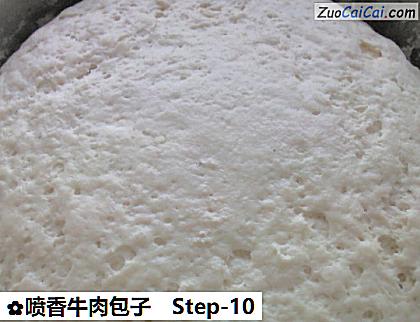 喷香牛肉包子做法第十步骤