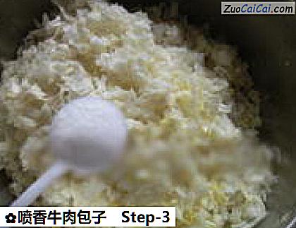 喷香牛肉包子做法第三步骤
