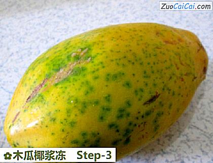 木瓜椰浆冻做法第三步骤