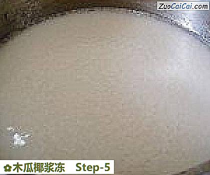 木瓜椰浆冻做法第五步骤