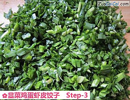 韭菜鸡蛋虾皮饺子做法第三步骤
