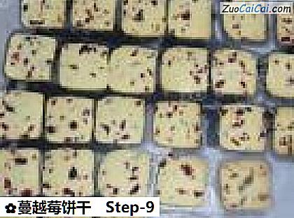 蔓越莓饼干做法第九步骤