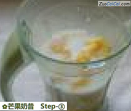 芒果奶昔做法第三步骤