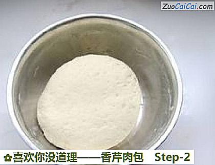 香芹肉包做法第二步骤