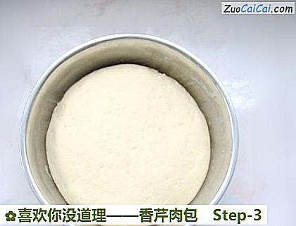 香芹肉包做法第三步骤