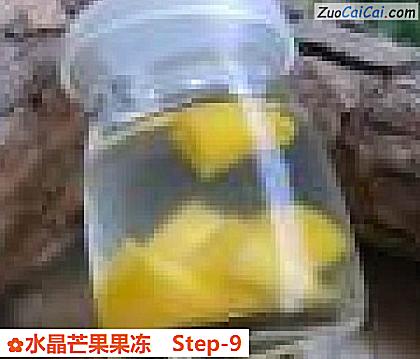 水晶芒果果冻做法第九步骤