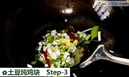土豆炖鸡块做法第三步骤