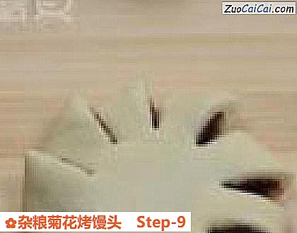 杂粮菊花烤馒头做法第九步骤