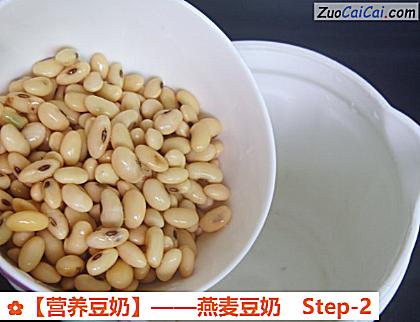 燕麦豆奶做法第二步骤