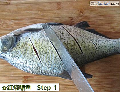 红烧鳊鱼做法第一步骤