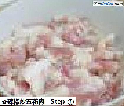 辣椒炒五花肉做法第一步骤