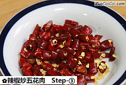 辣椒炒五花肉做法第三步骤
