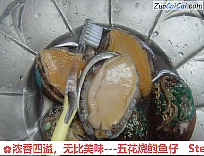 -五花烧鲍鱼仔做法第一步骤