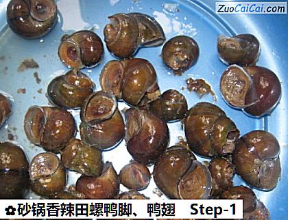 砂锅香辣田螺鸭脚、鸭翅做法第一步骤