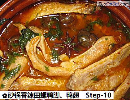 砂锅香辣田螺鸭脚、鸭翅做法第十步骤