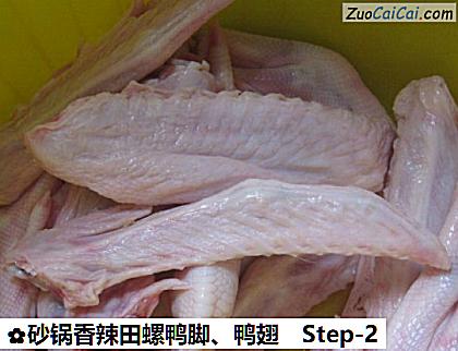 砂锅香辣田螺鸭脚、鸭翅做法第二步骤