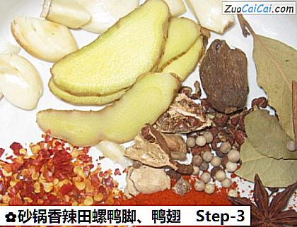 砂锅香辣田螺鸭脚、鸭翅做法第三步骤
