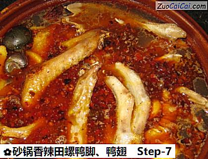 砂锅香辣田螺鸭脚、鸭翅做法第七步骤