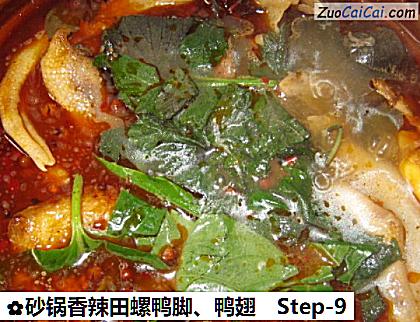 砂锅香辣田螺鸭脚、鸭翅做法第九步骤
