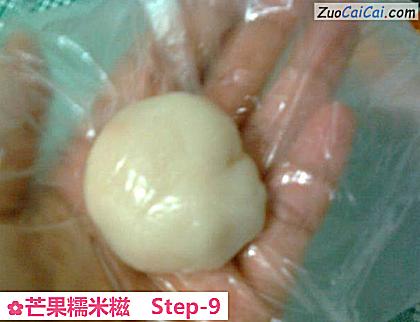 芒果糯米糍做法第九步骤