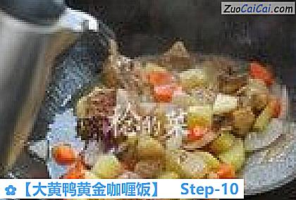 大黄鸭黄金咖喱饭做法第十步骤