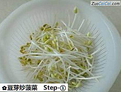 豆芽炒菠菜做法第一步骤