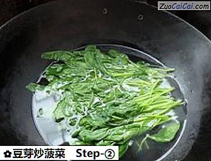 豆芽炒菠菜做法第二步骤