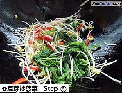 豆芽炒菠菜做法第五步骤